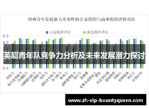 英超青年队竞争力分析及未来发展潜力探讨